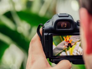 Best Places to Sell Your Photos Online