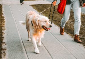 Side Hustles That Pay Better Than You Think