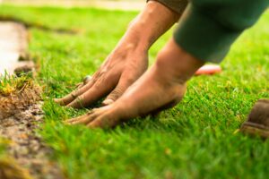 Rural Business Ideas With Low Startup Costs