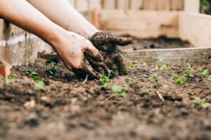 Rural Business Ideas With Low Startup Costs